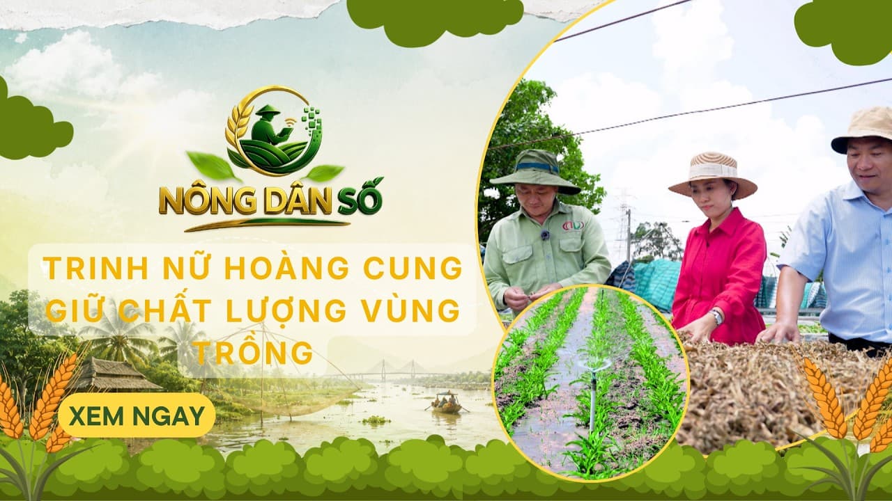 NÔNG DÂN SỐ - 22/8/2026 | VTV10 - Đài Truyền hình Việt Nam