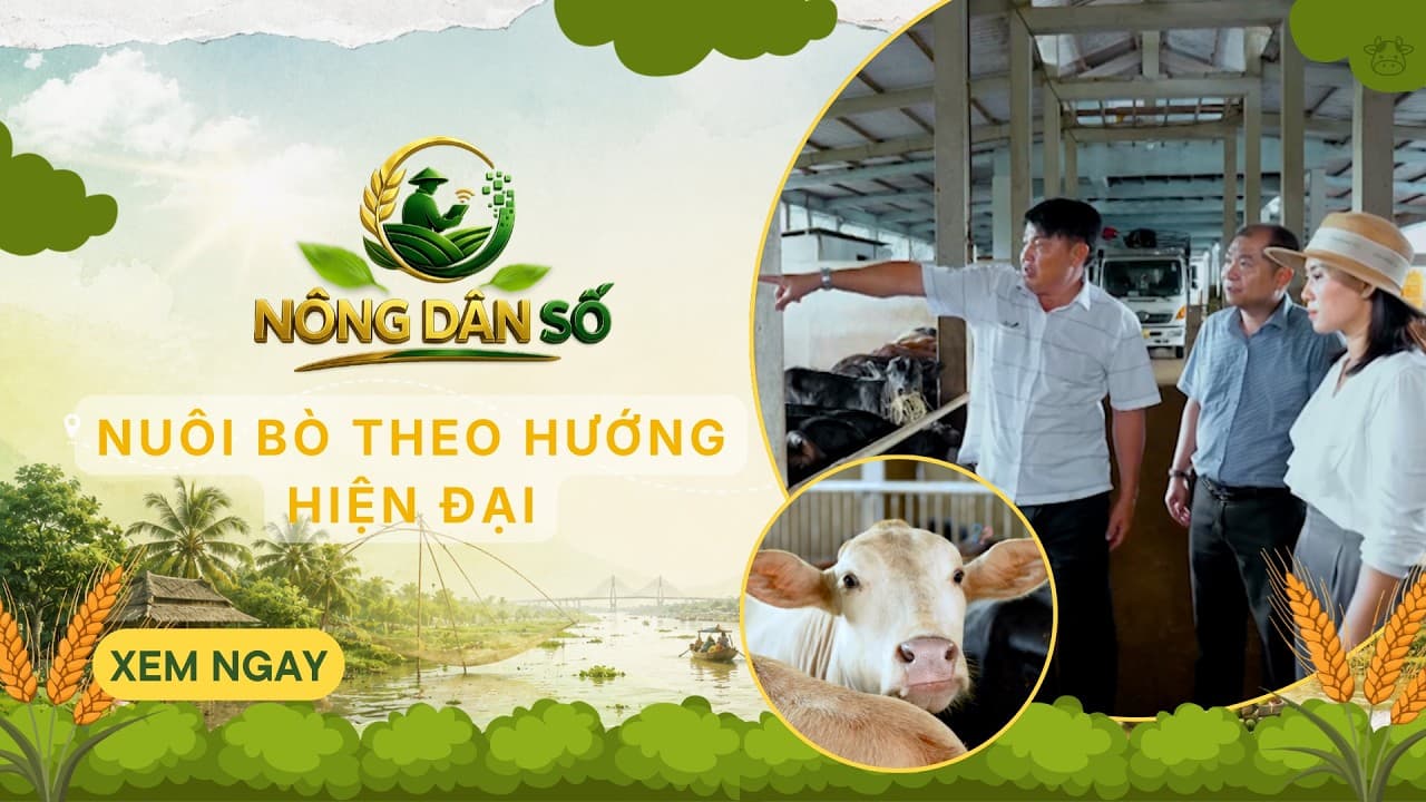 NÔNG DÂN SỐ - 16/8/2026 | VTV10 - Đài Truyền hình Việt Nam