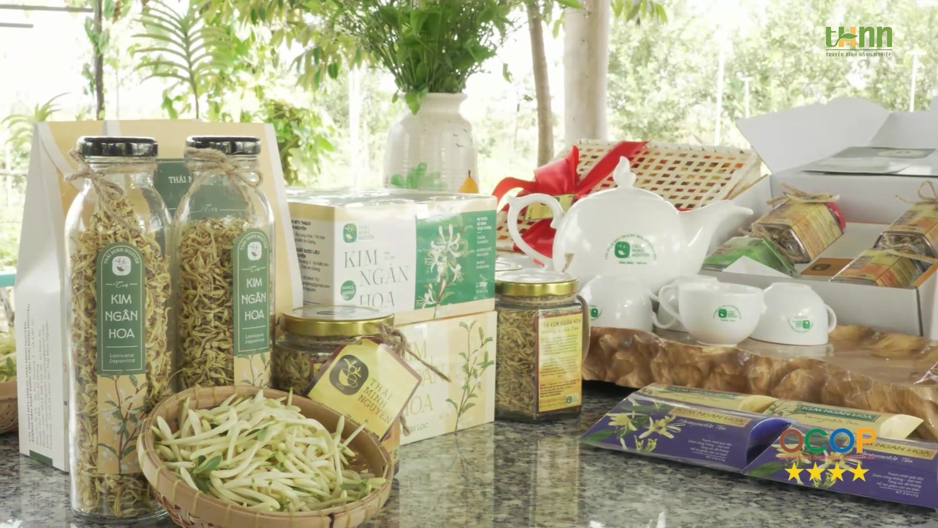 Trà Kim Ngân Hoa Thái Minh Nguyên